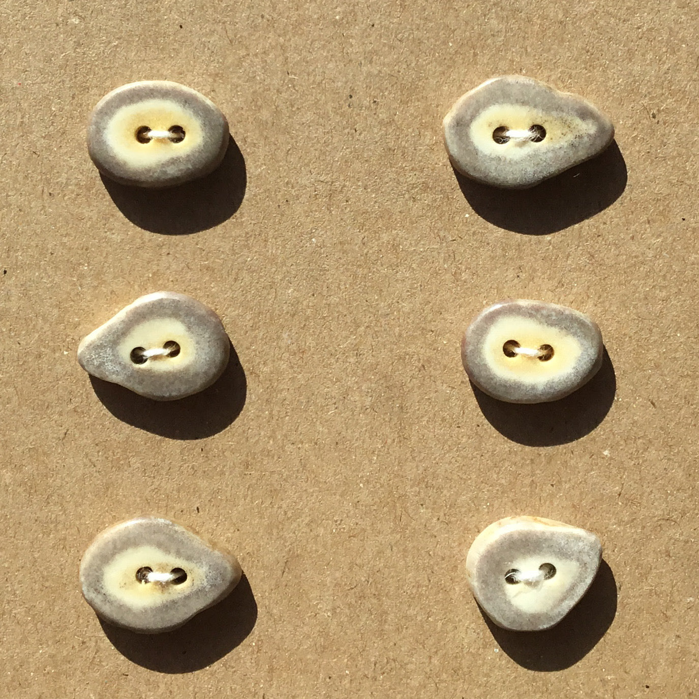 Polished Deer Antler Shed Buttons 3/4" 6-Pack
