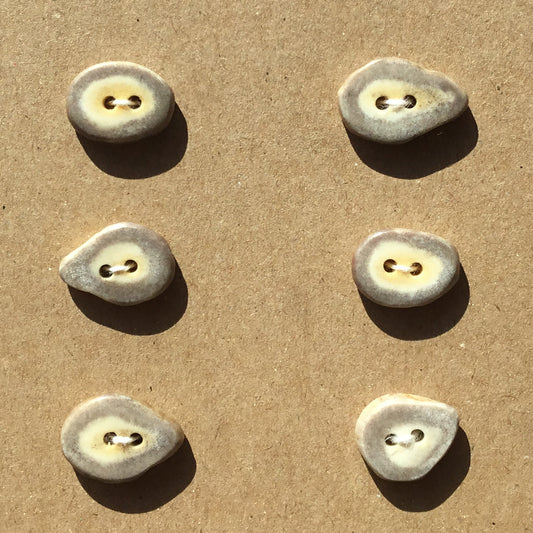 Polished Deer Antler Shed Buttons 3/4" 6-Pack