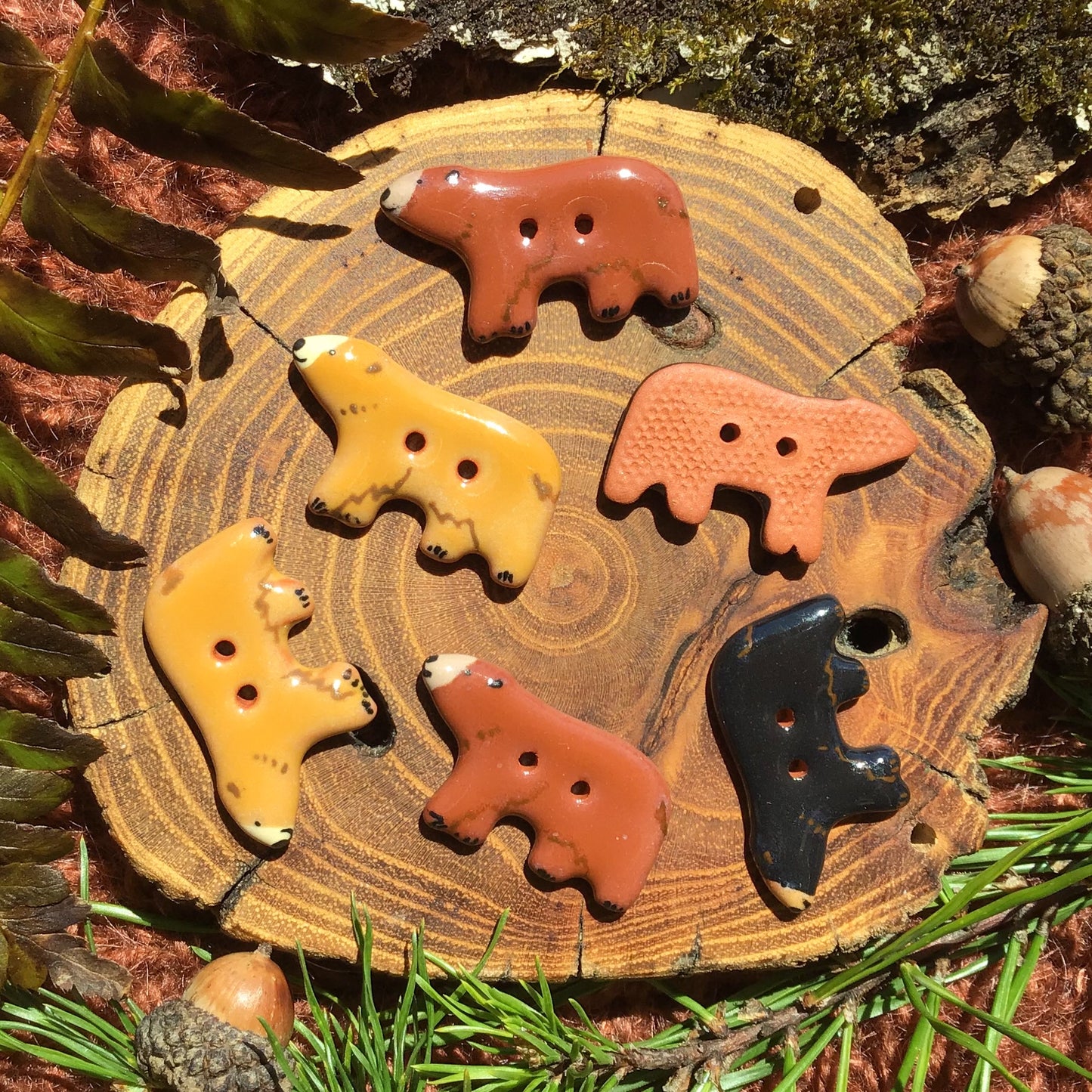 Bear Buttons 11/16" x 1-1/4”