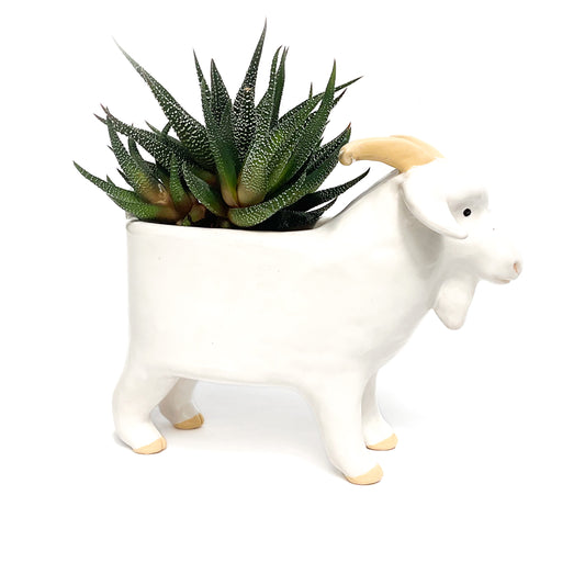 *Reserved* Angora Goat Pot - Ceramic Goat Planter