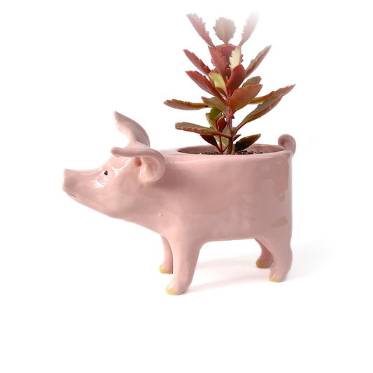 Pink Yorkshire Pig Pot