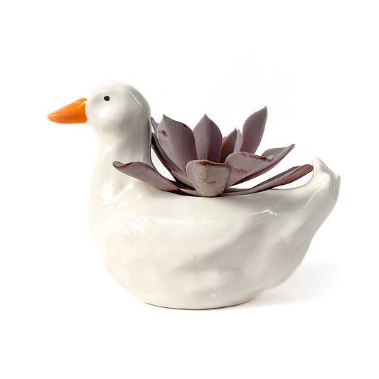 Pekin Duck Pot - Ceramic Duck Planter