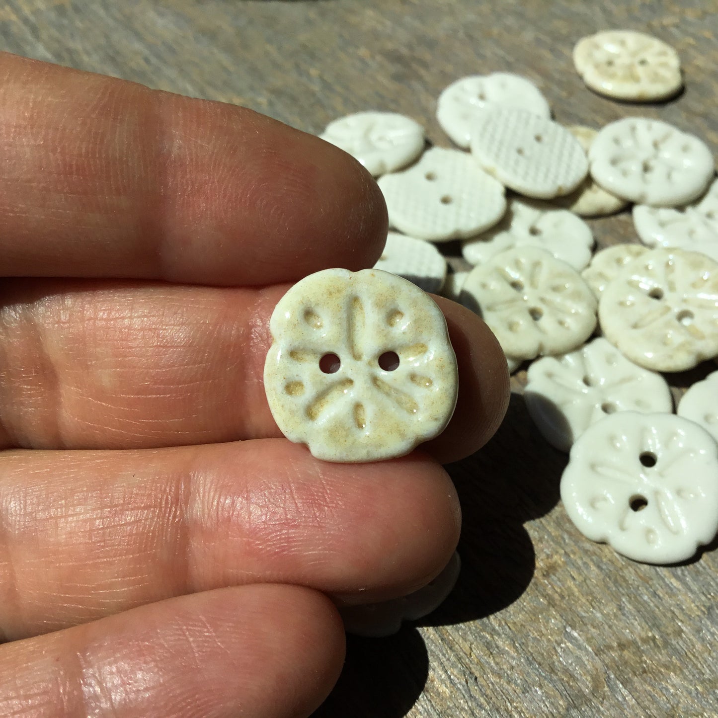 Sand Dollar Porcelain Button 11/16”