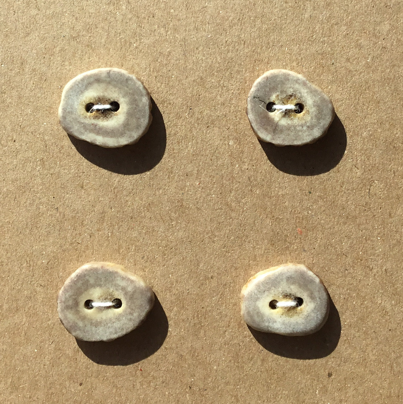 Polished Deer Antler Shed Buttons 7/8" 4-Pack