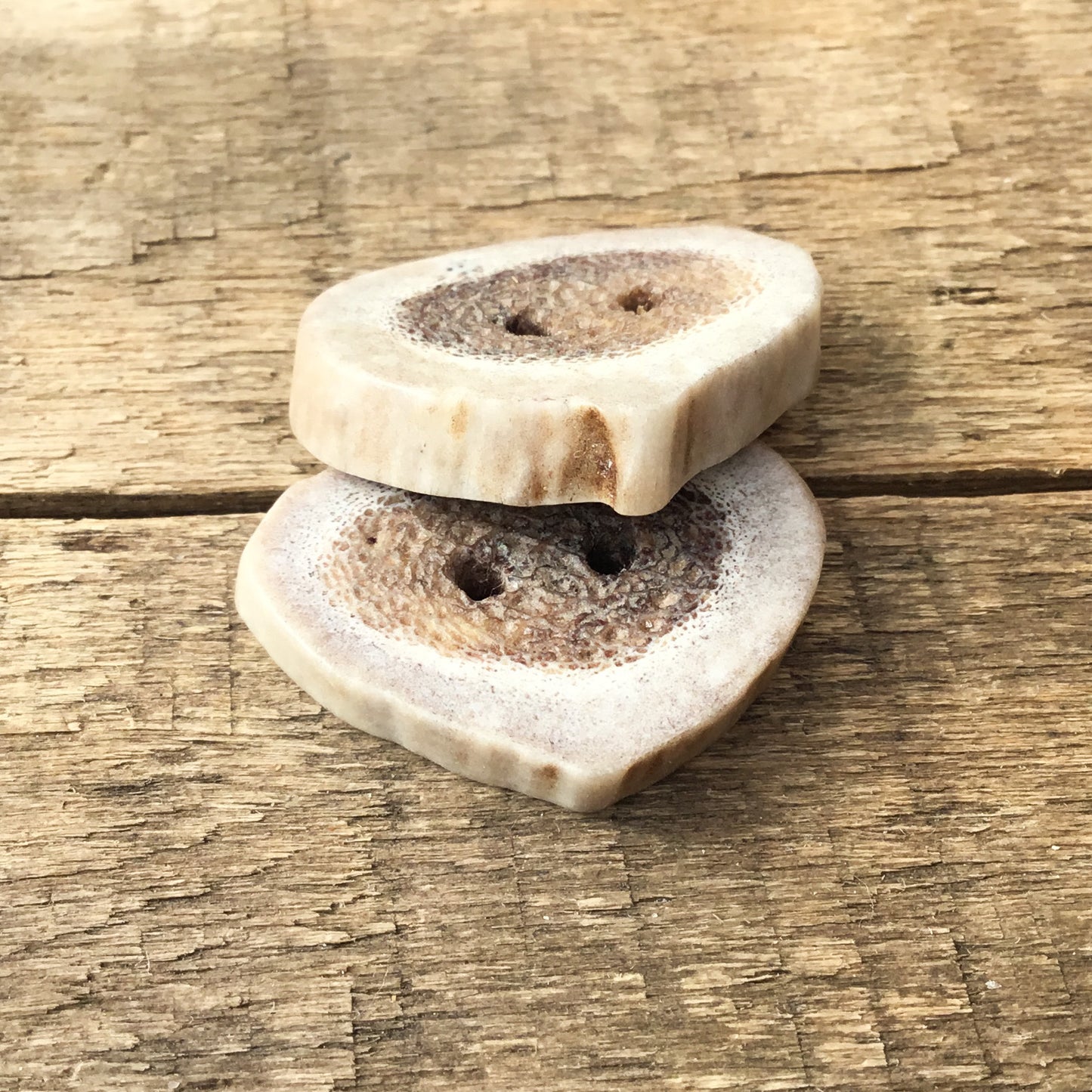 Deer Antler Shed Buttons 7/8" x 1-3/16" 2 pack