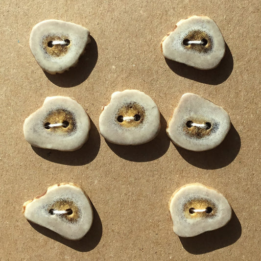 Polished Deer Antler Shed Buttons 7/8" 7-Pack