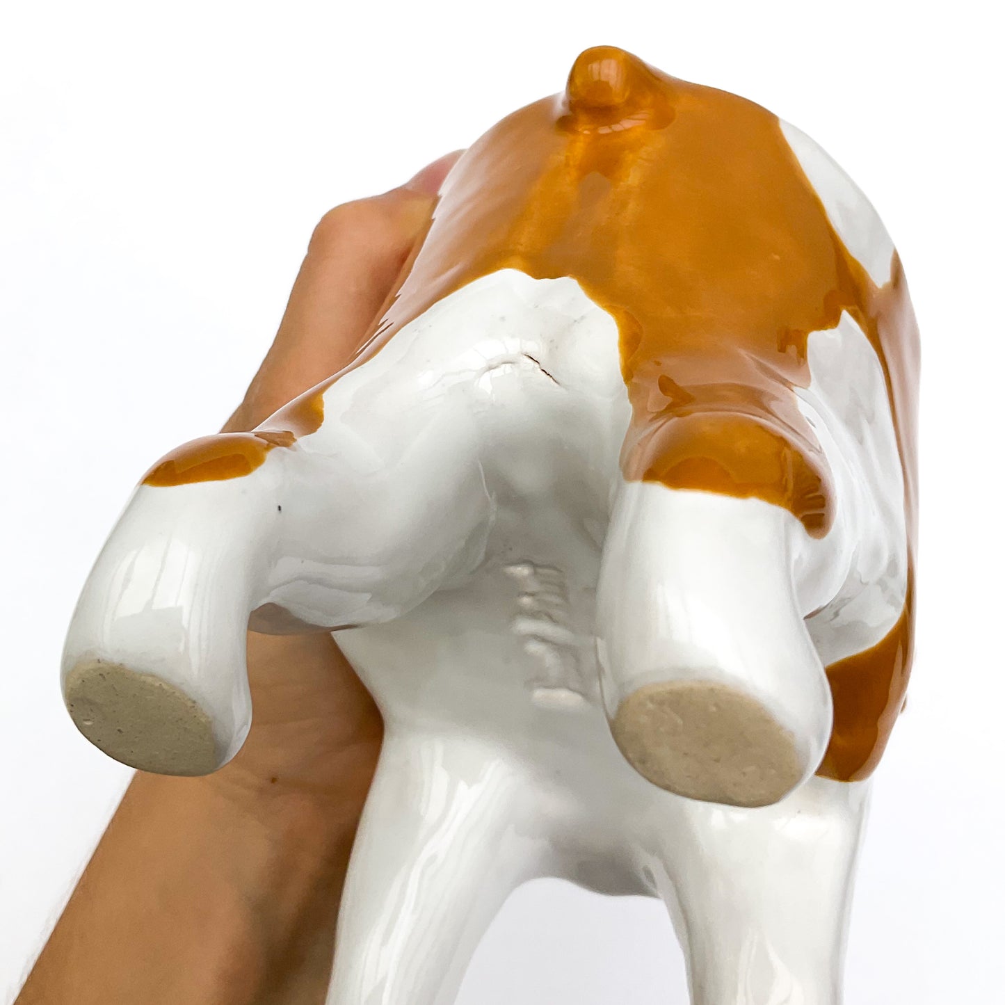 English Bulldog Planter - Ceramic Dog Plant Pot