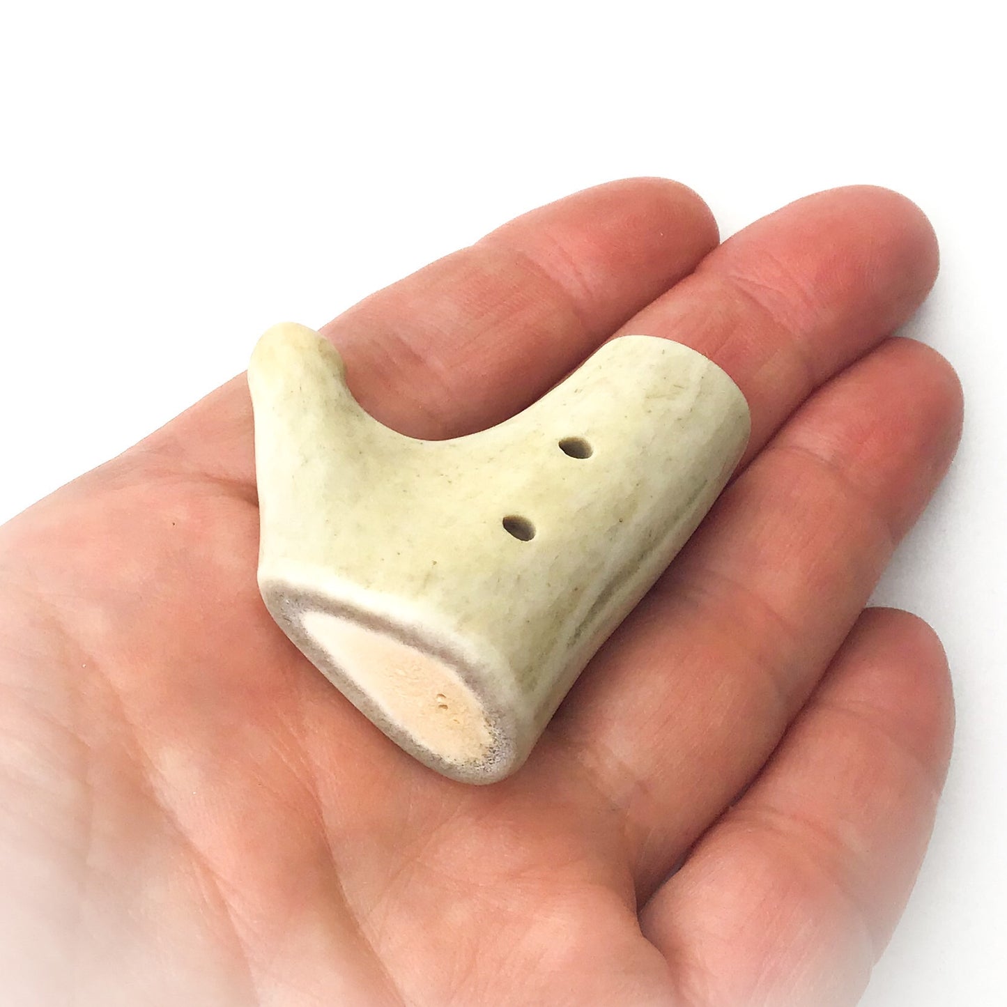 Large Unique Deer Antler Shed Button - Decorative Antler Button