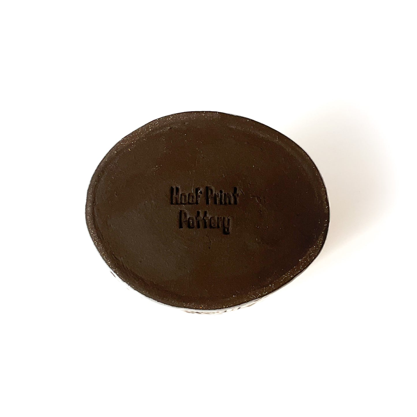 Sabertooth Longhorn Beetle - Black Clay Crock