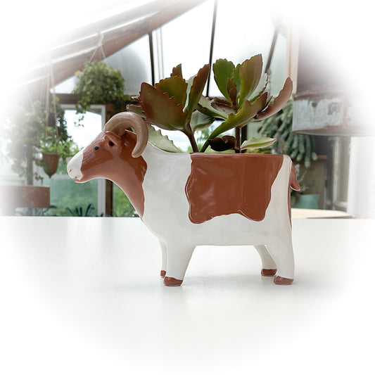 Spotted Icelandic Sheep Pot - Ceramic Sheep Planter