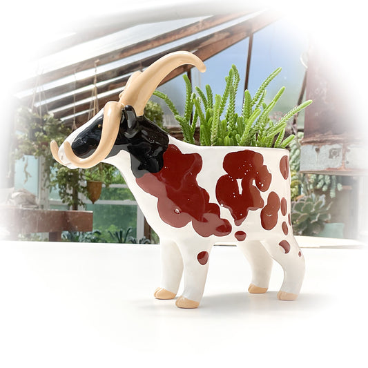 Four-Horned Jacob Sheep Pot - Ceramic Sheep Planter