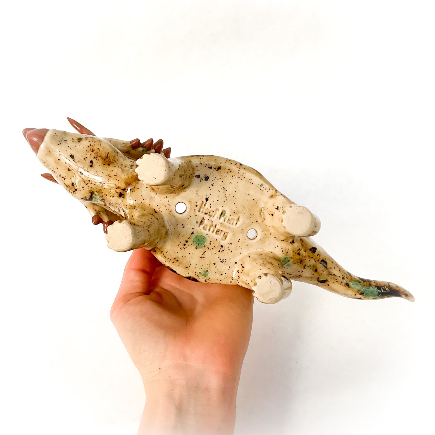 Speckled Brown Triceratops Dinosaur Planter - Dinosaur Succulent Planter