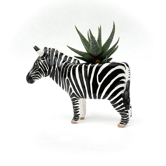 Zebra Pot - Ceramic Zebra Planter