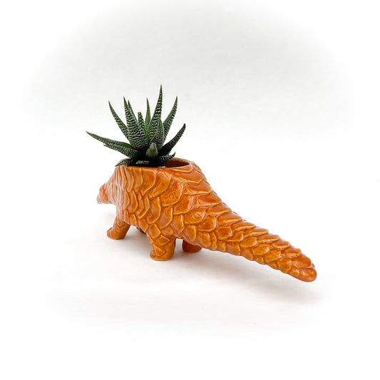 Pangolin Pot - Ceramic Pangolin Planter