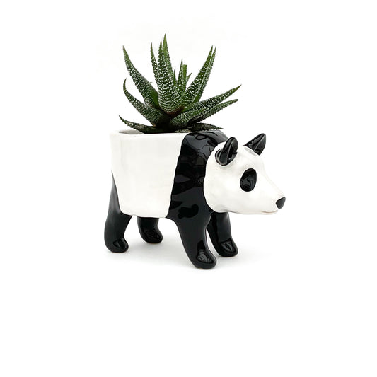 Giant Panda Pot - Ceramic Panda Bear Planter