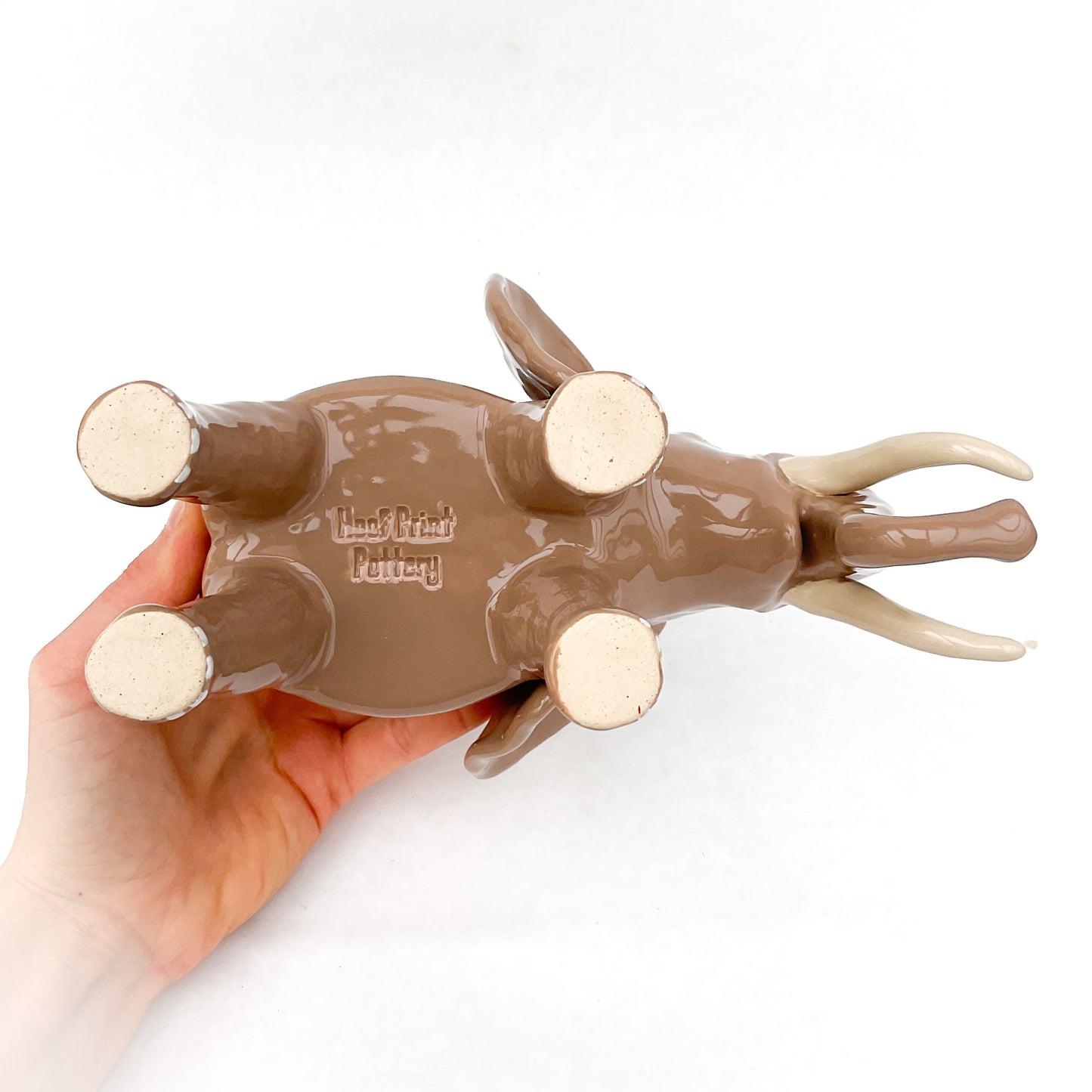 African Elephant Planter - Elephant Succulent Pot