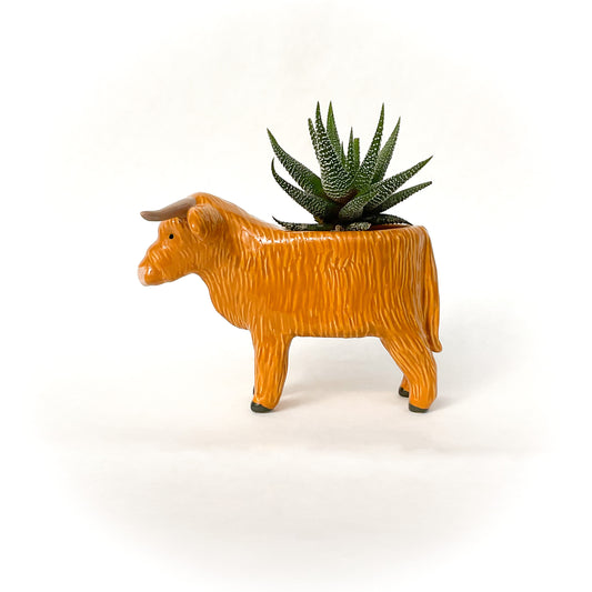 Highland Cow Planter