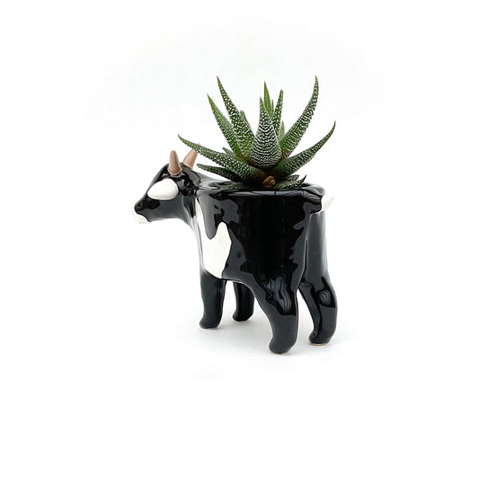 Black and White Pygmy Goat Pot