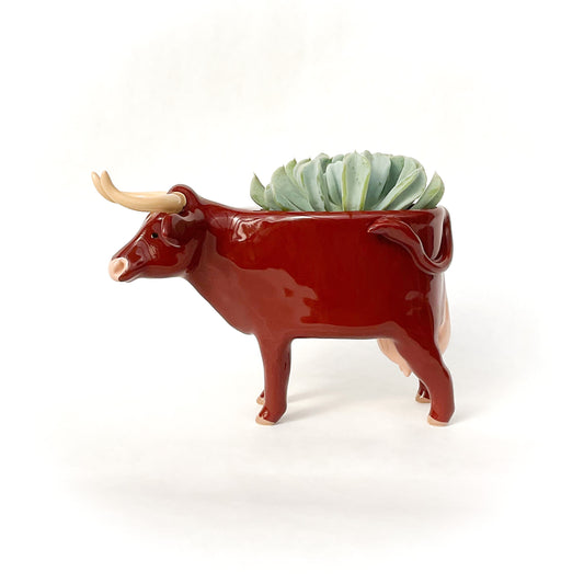 Milking Devon Cow Pot
