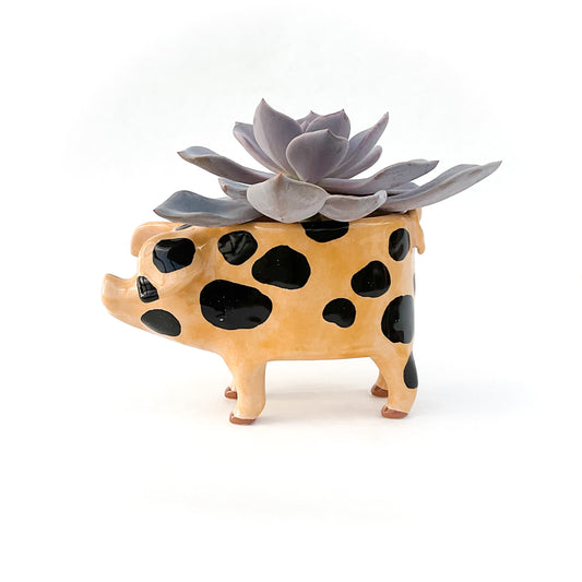 Gloucestershire Pig Pot