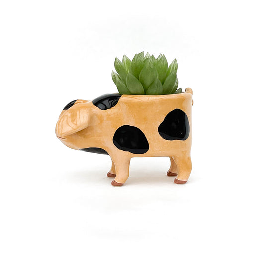 Gloucestershire Pig Pot