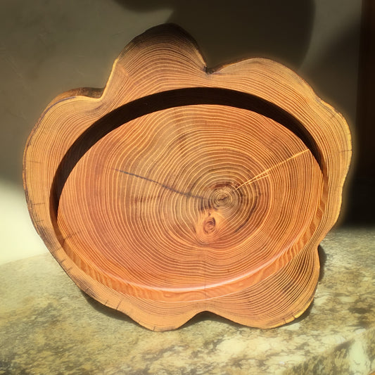 Natural Edge Black Locust Bowl - 16" diameter