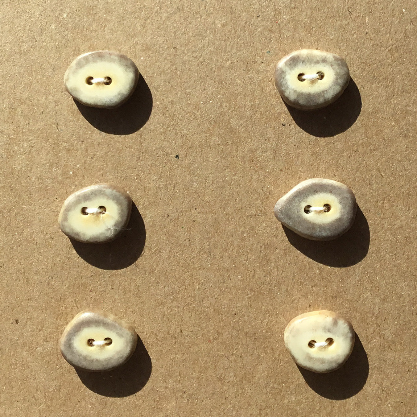 Polished Deer Antler Shed Buttons  11/16"  6-Pack