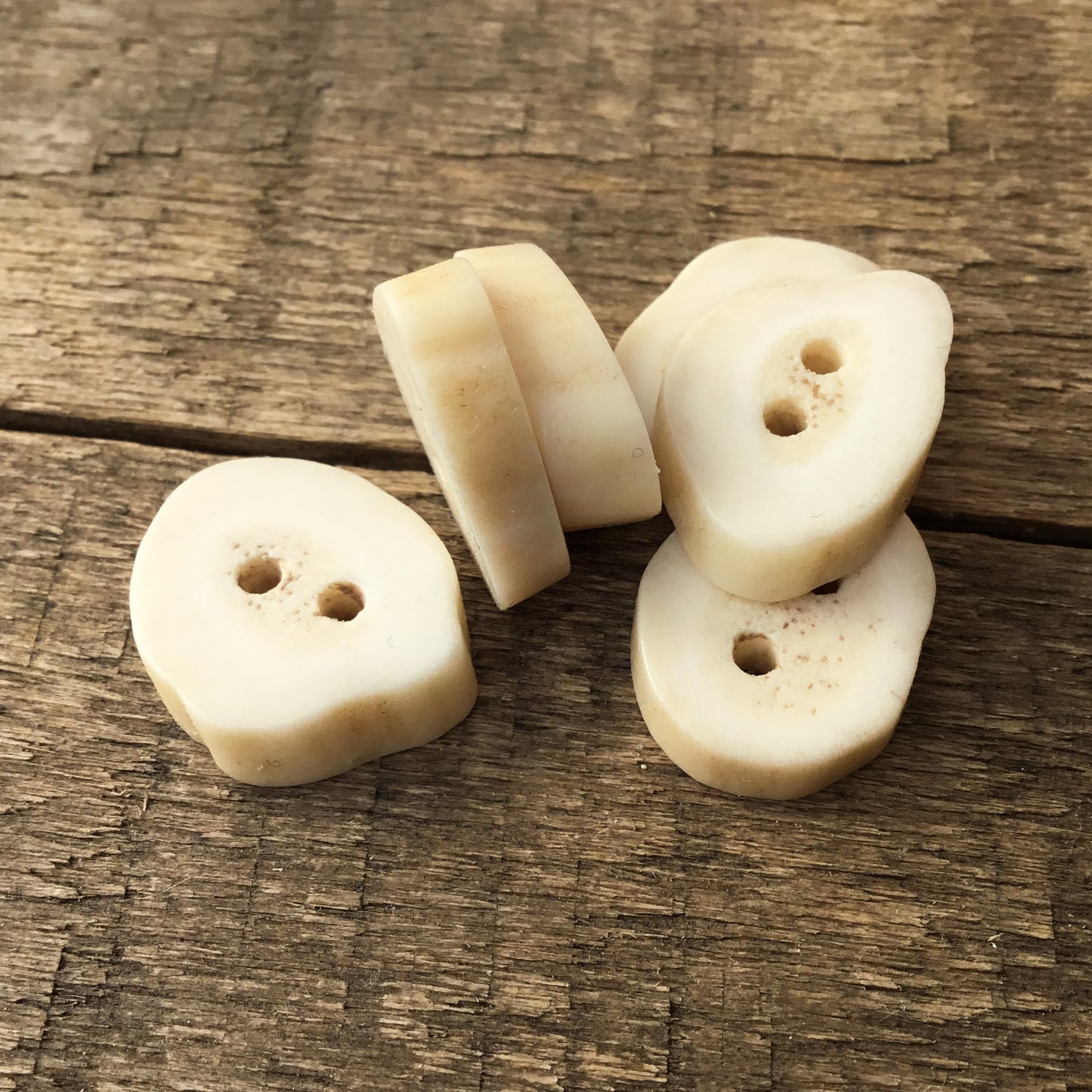 Deer Antler Shed Buttons 9/16" to 3/4" - 6 Pack