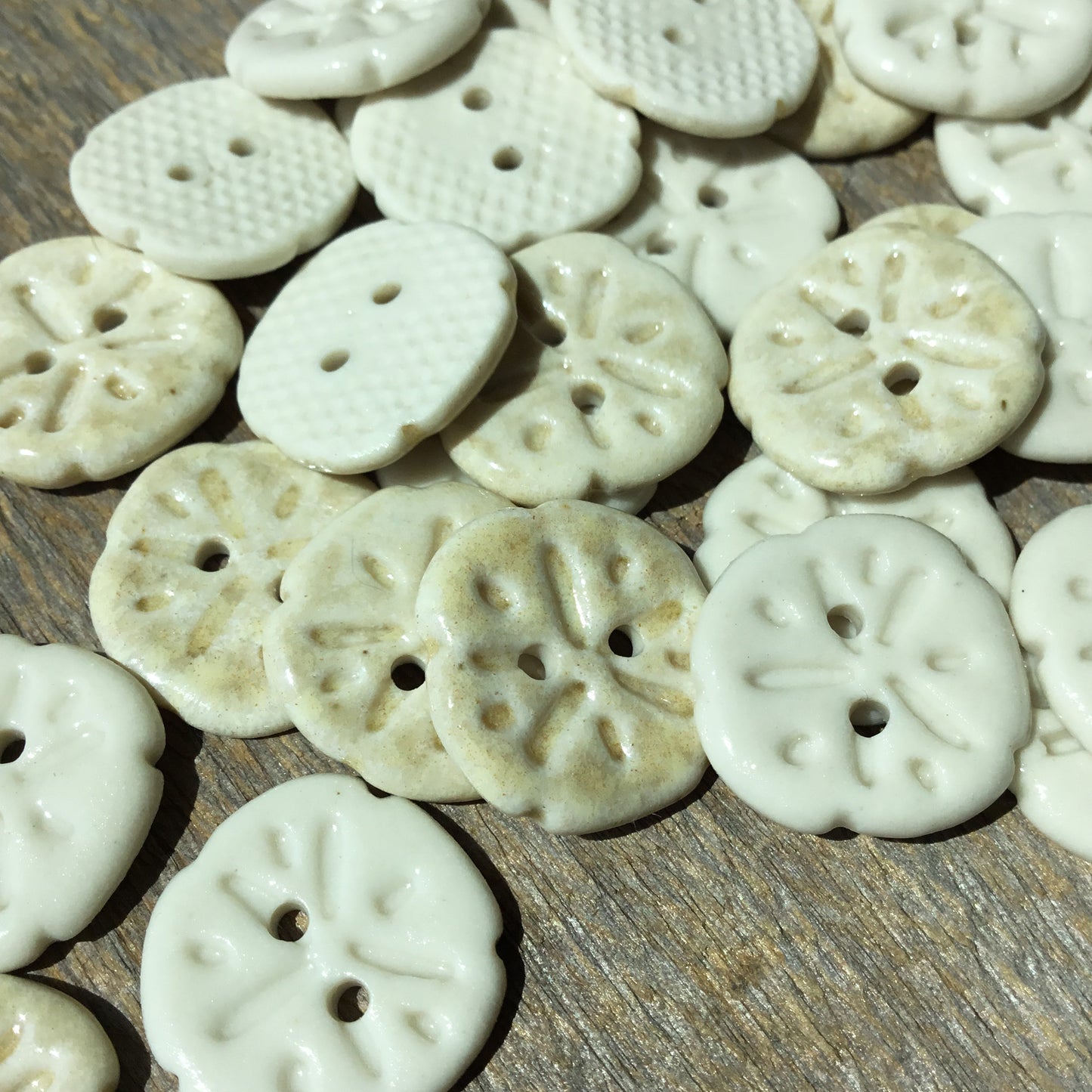 Sand Dollar Porcelain Button  11/16”