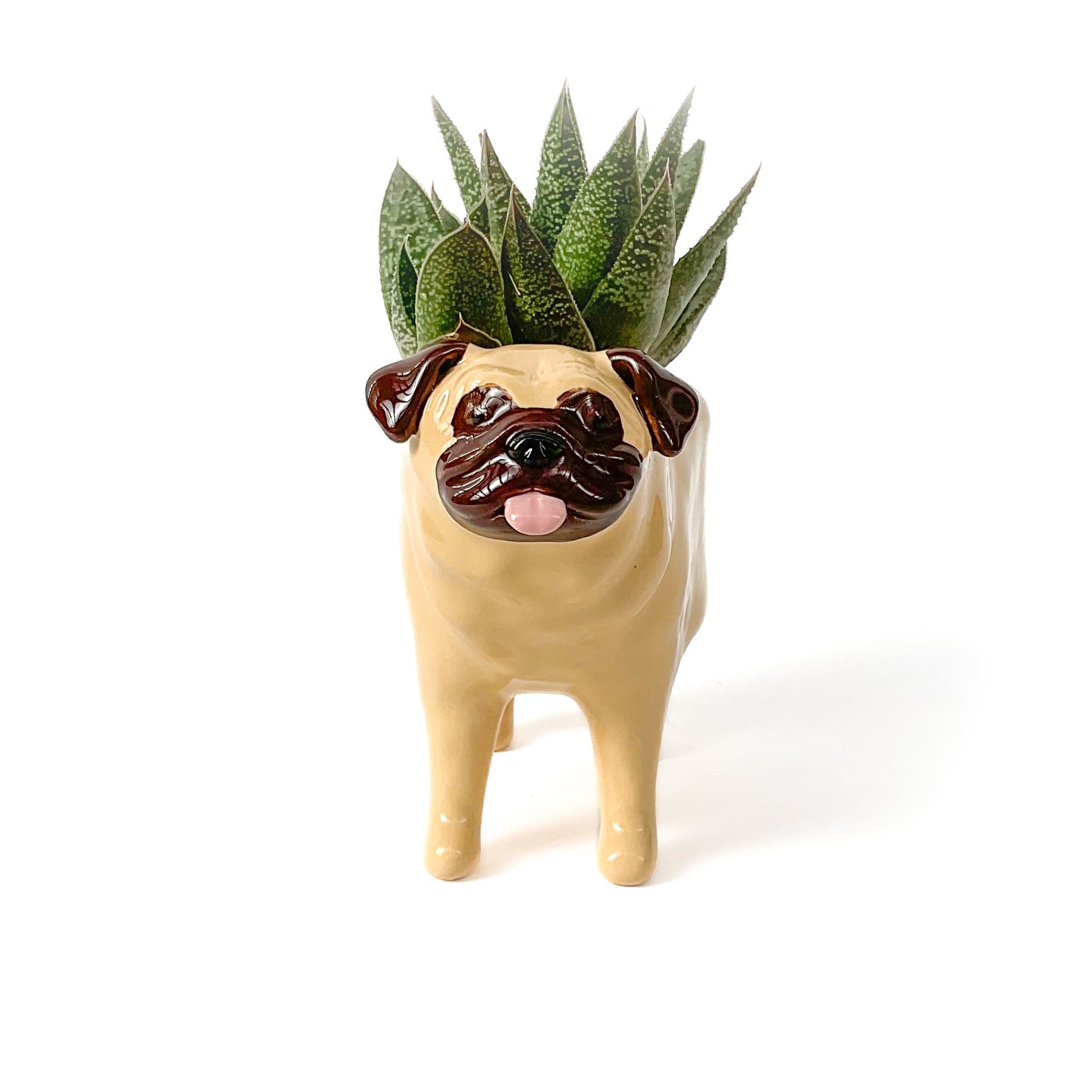 Pug Dog Planter - Ceramic Dog Plant Pot