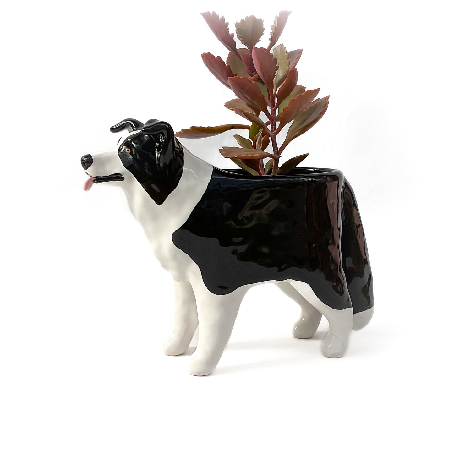 Border Collie Dog Planter - Ceramic Dog Plant Pot