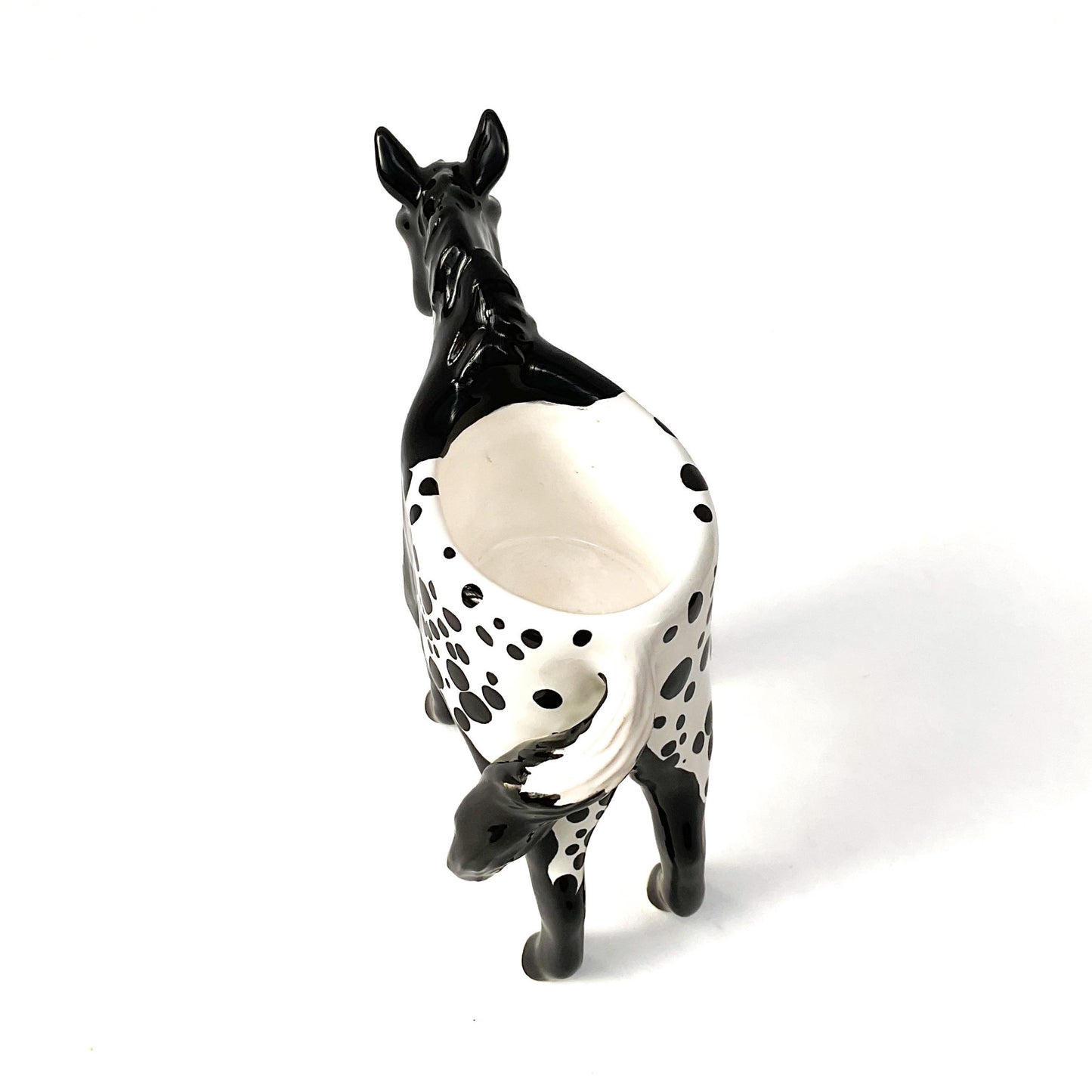 Appaloosa Horse Pot