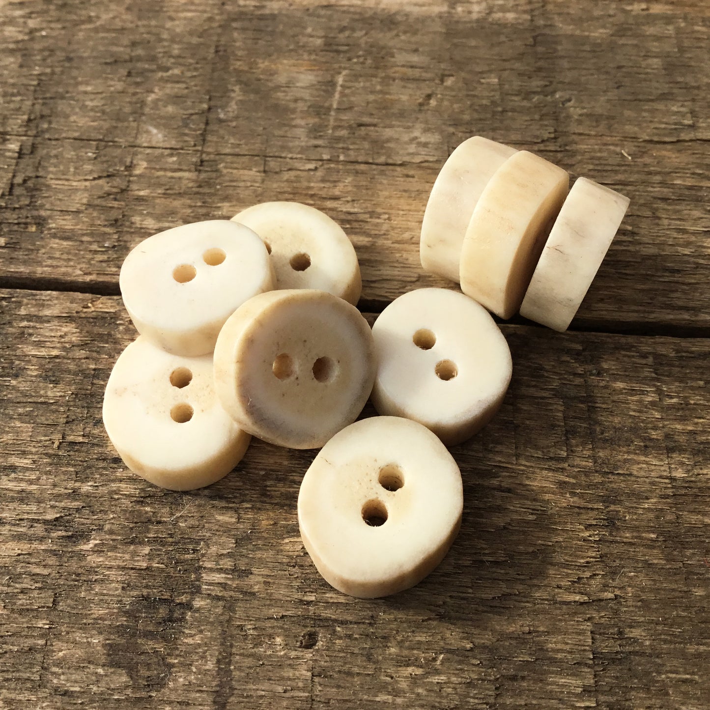 Deer Antler Shed Buttons  1/2" -  9 Pack