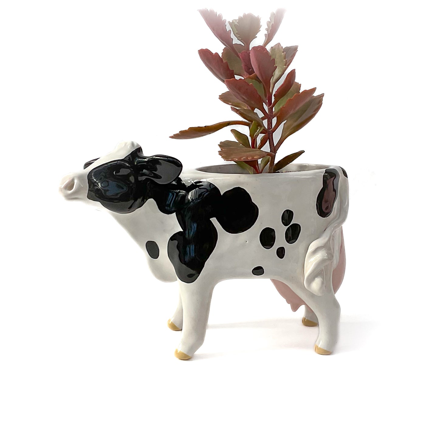 Holstein Friesian Cow Pot