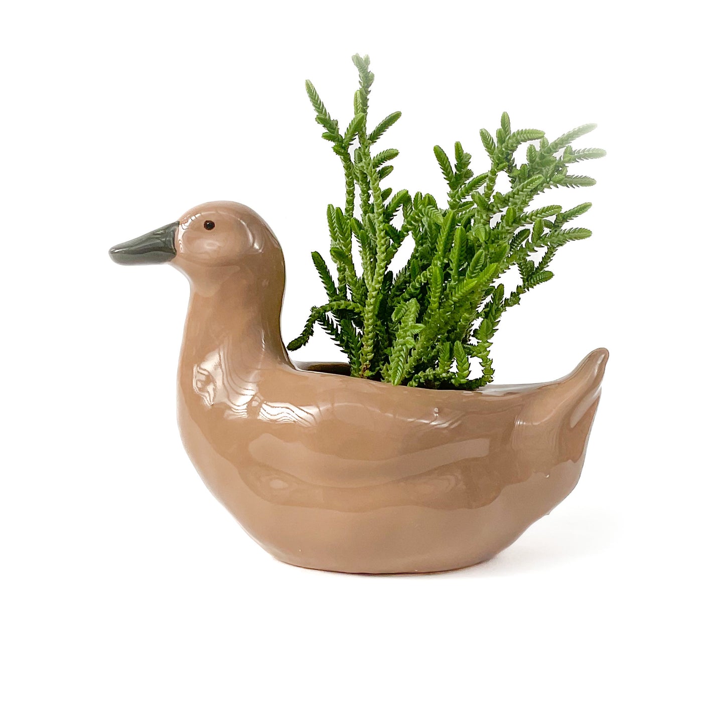 Khaki Duck Pot - Ceramic Duck Planter