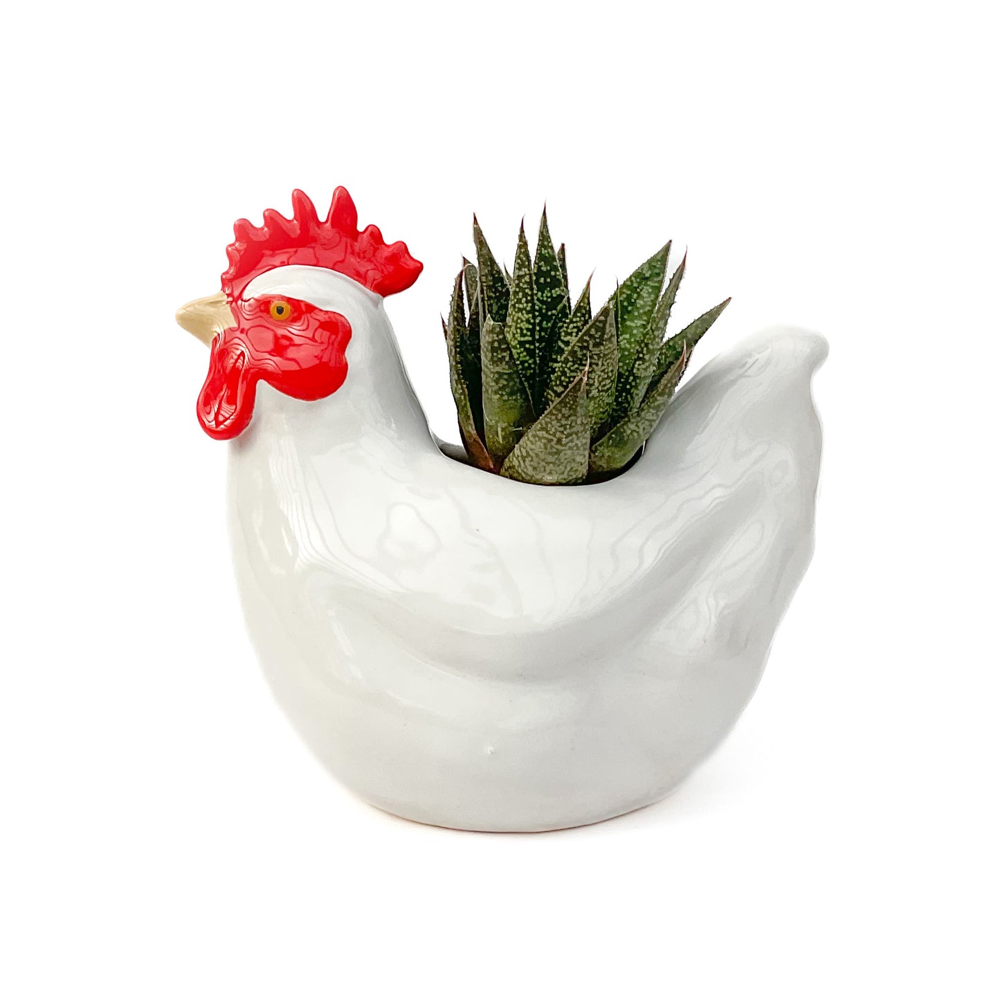 Hen Pot - Ceramic Hen Planter