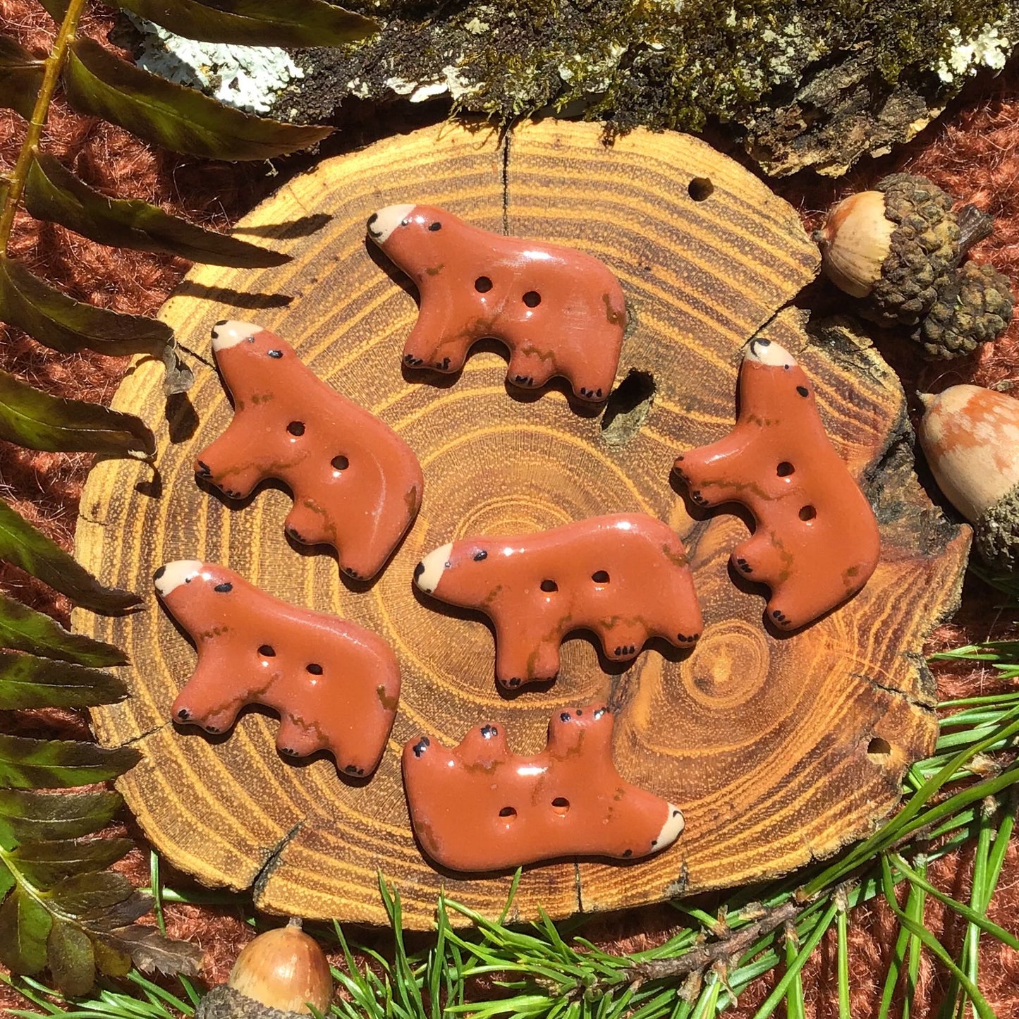 Bear Buttons  11/16" x 1-1/4”