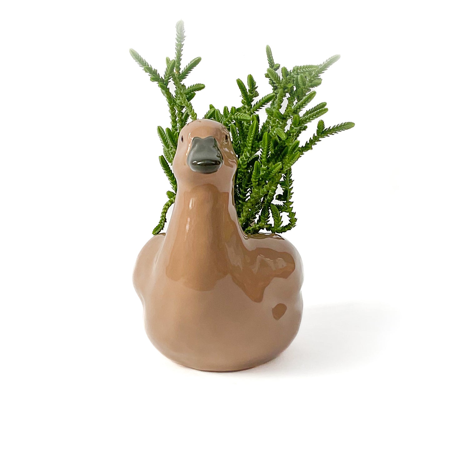 Khaki Duck Pot - Ceramic Duck Planter