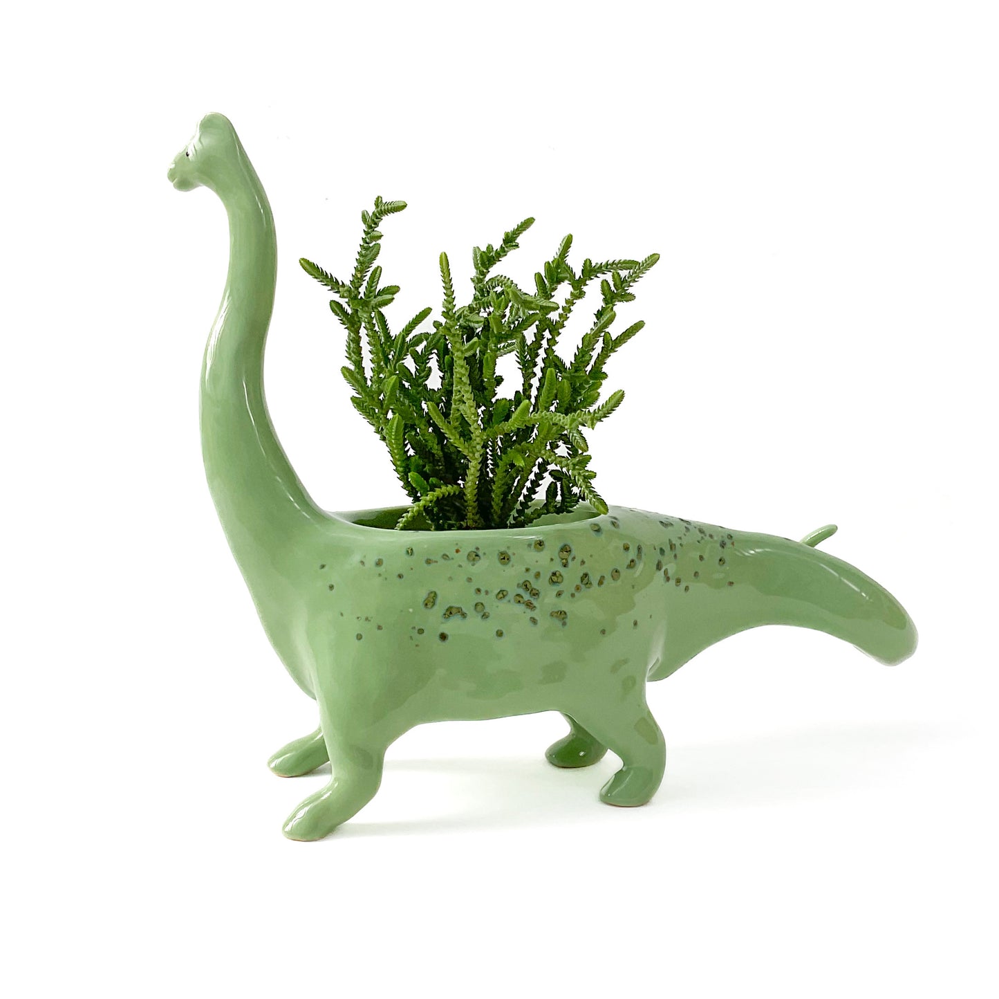 Brachiosaurus Dinosaur Planter - Dinosaur Succulent Planter