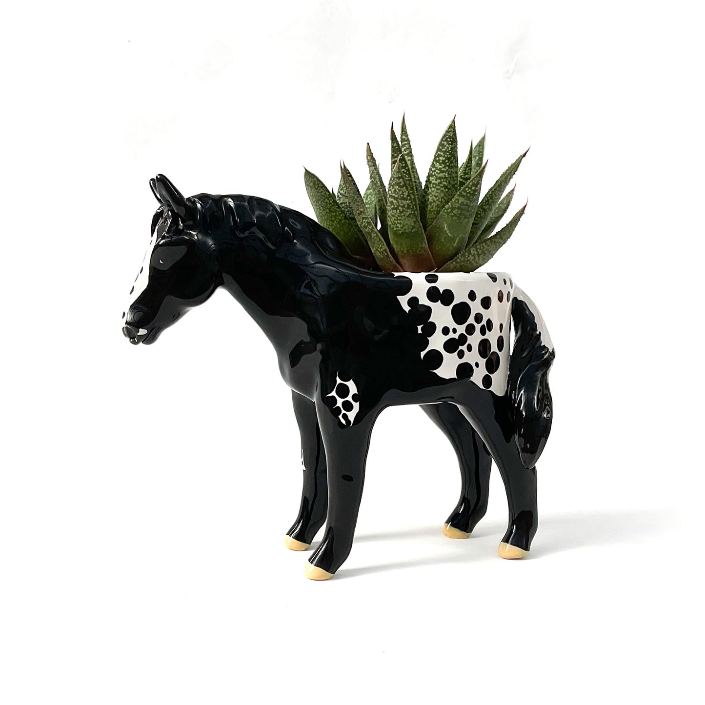 Appaloosa Horse Pot