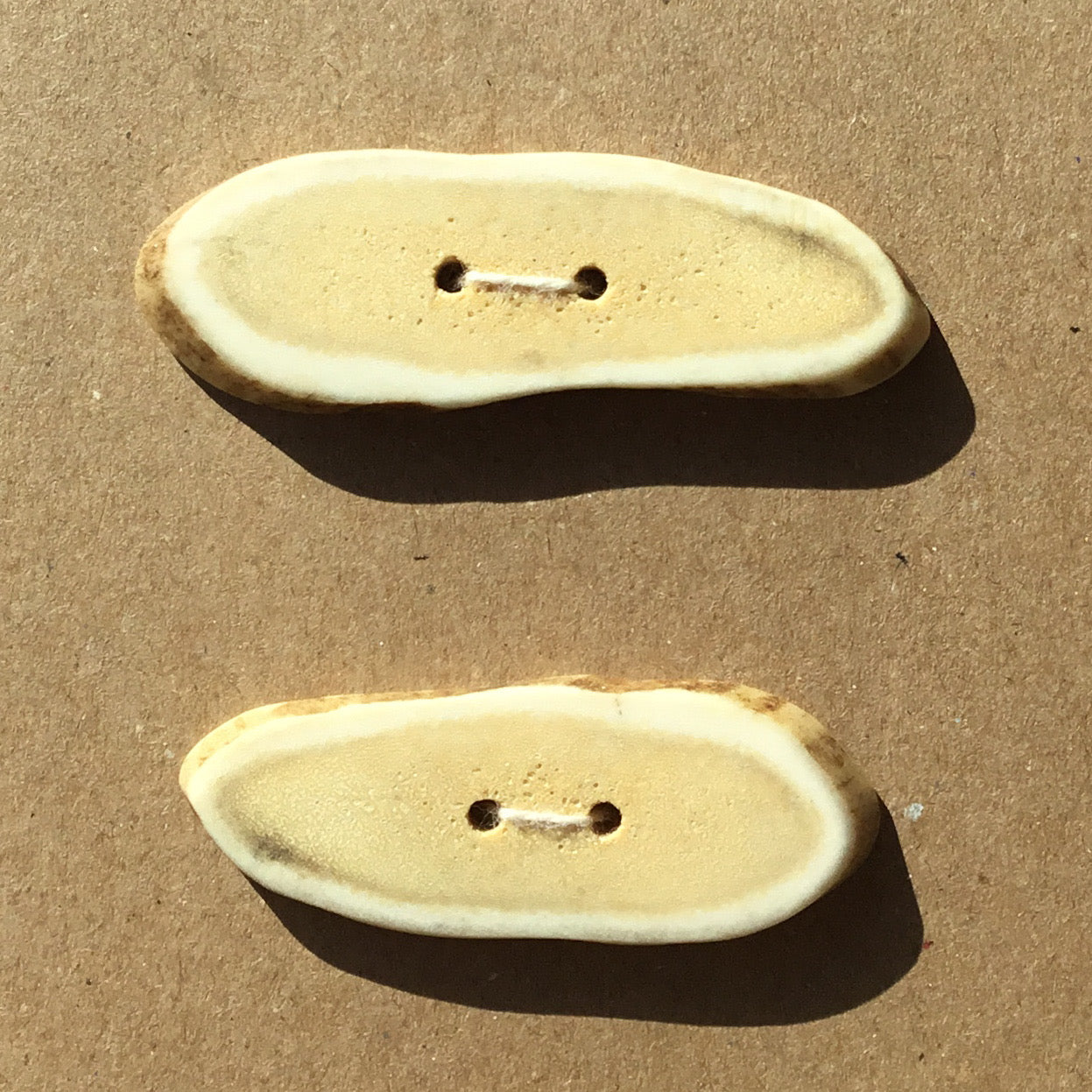 Polished Deer Antler Shed Buttons  2-1/2" x 3/4"  2-Pack