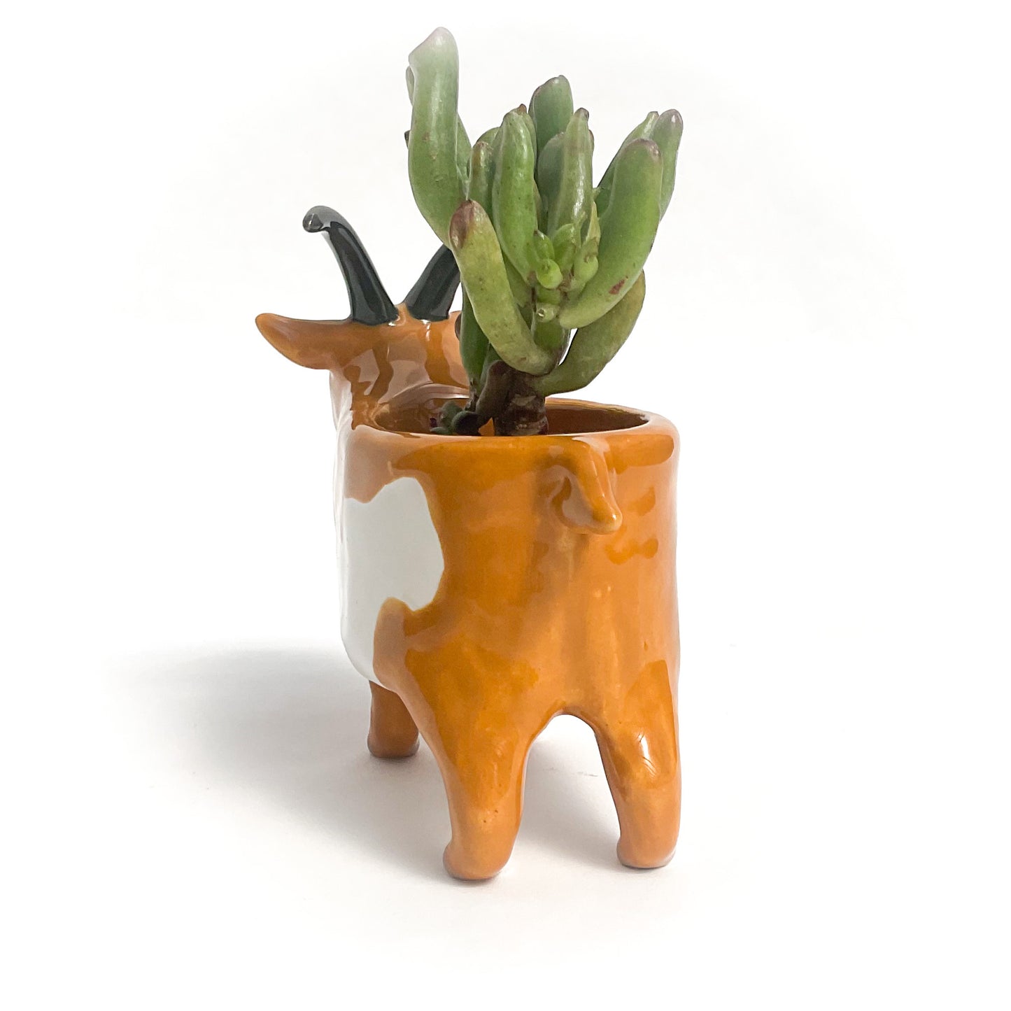 Spotted Brown Pygmy Goat Pot
