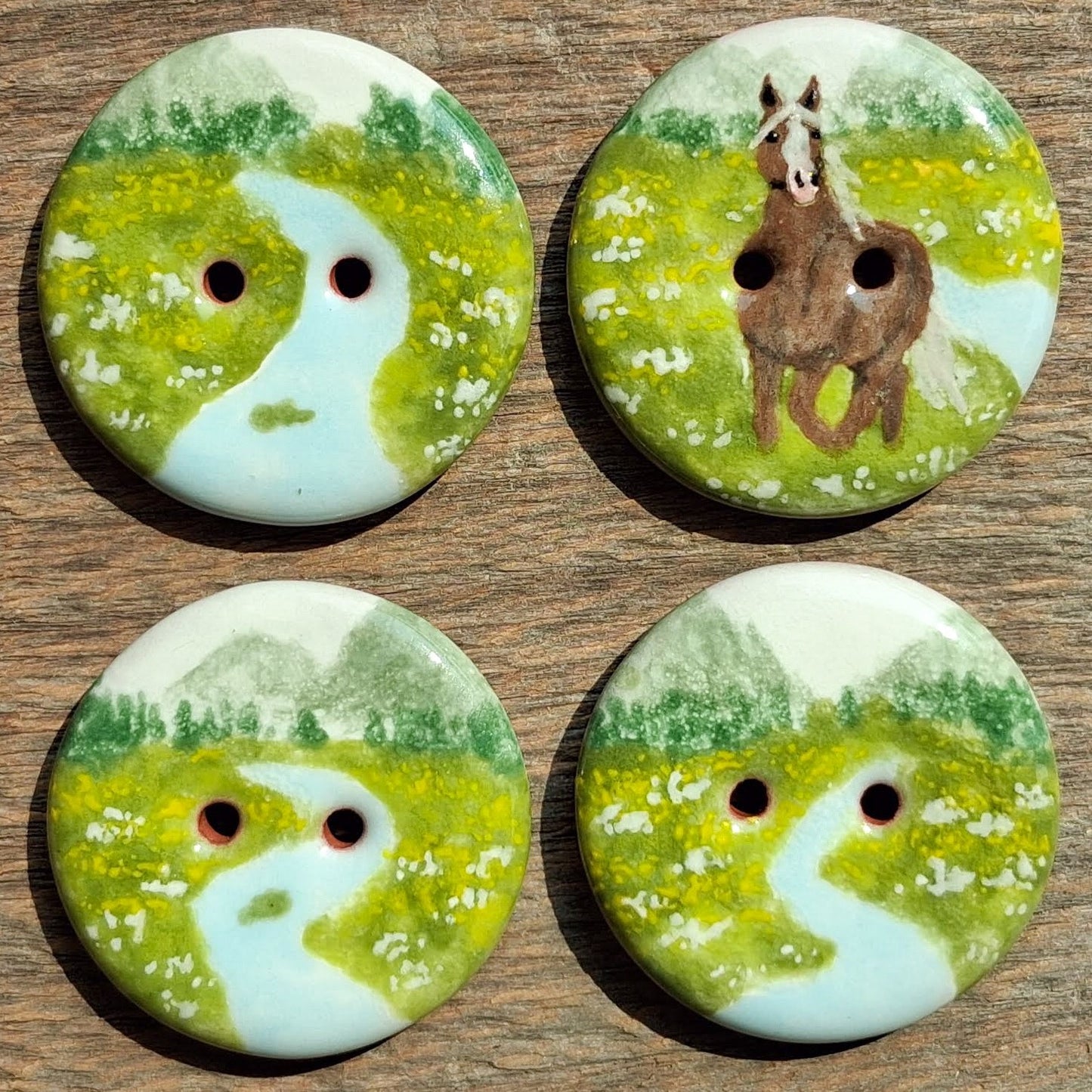 ‘Yellow Meadow Mustang’ 1-1/16” one-of-a-kind 4-pack