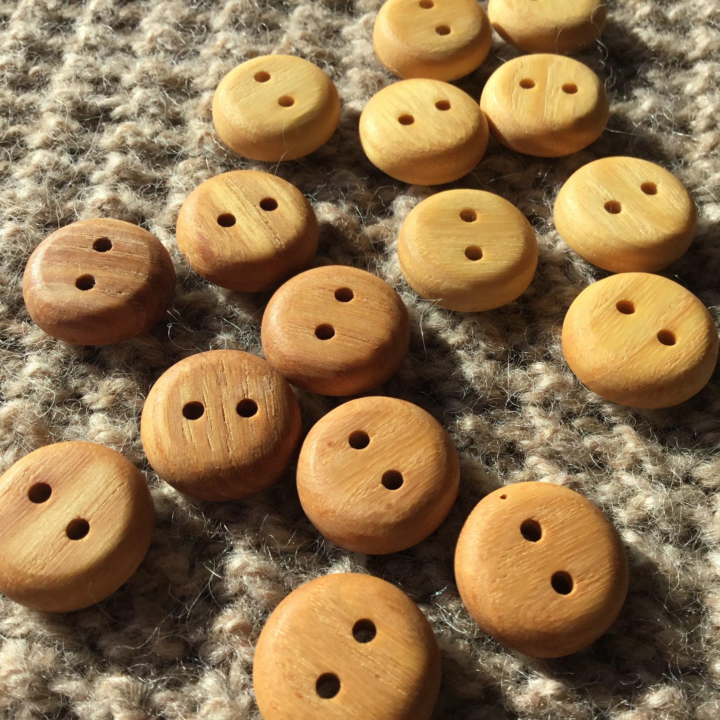 Basic Ash Wood Button  3/4”
