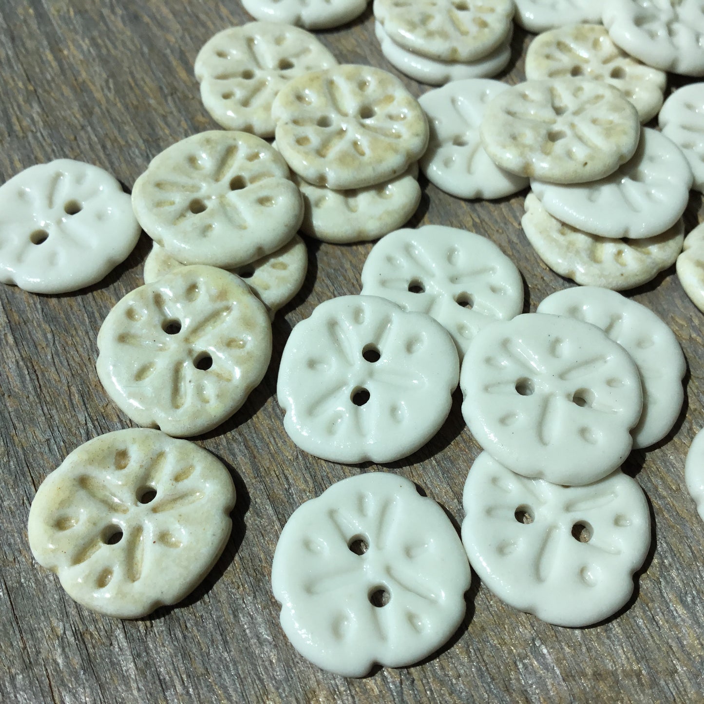 Sand Dollar Porcelain Button  11/16”