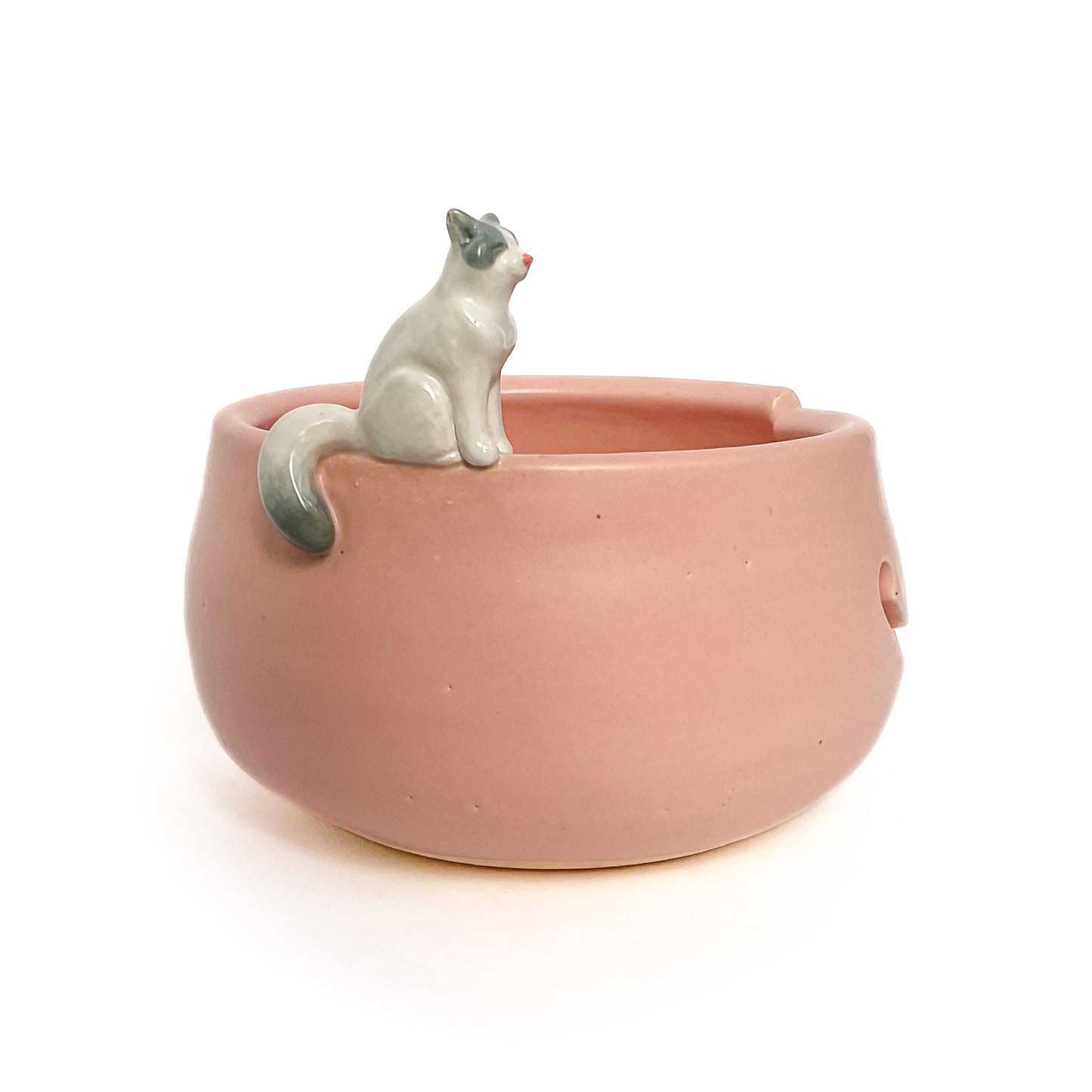 Ragdoll Cat Yarn Bowl