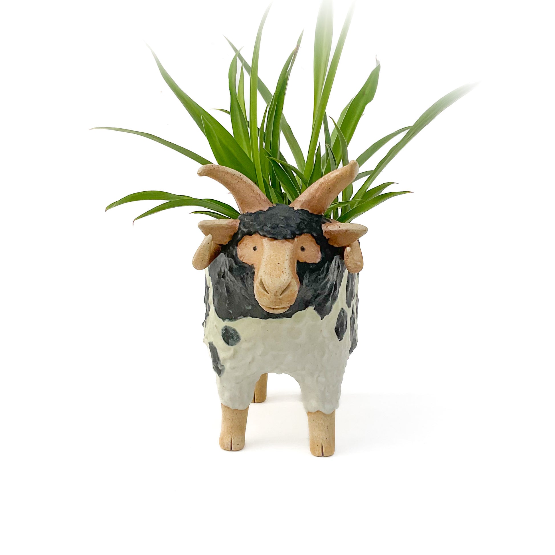 sheep planter pot Stoneware Jacob Pot