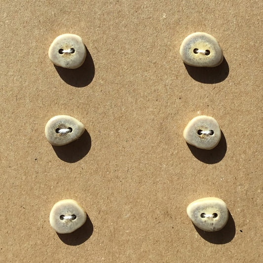 Polished Deer Antler Shed Buttons  1/2"  6-Pack