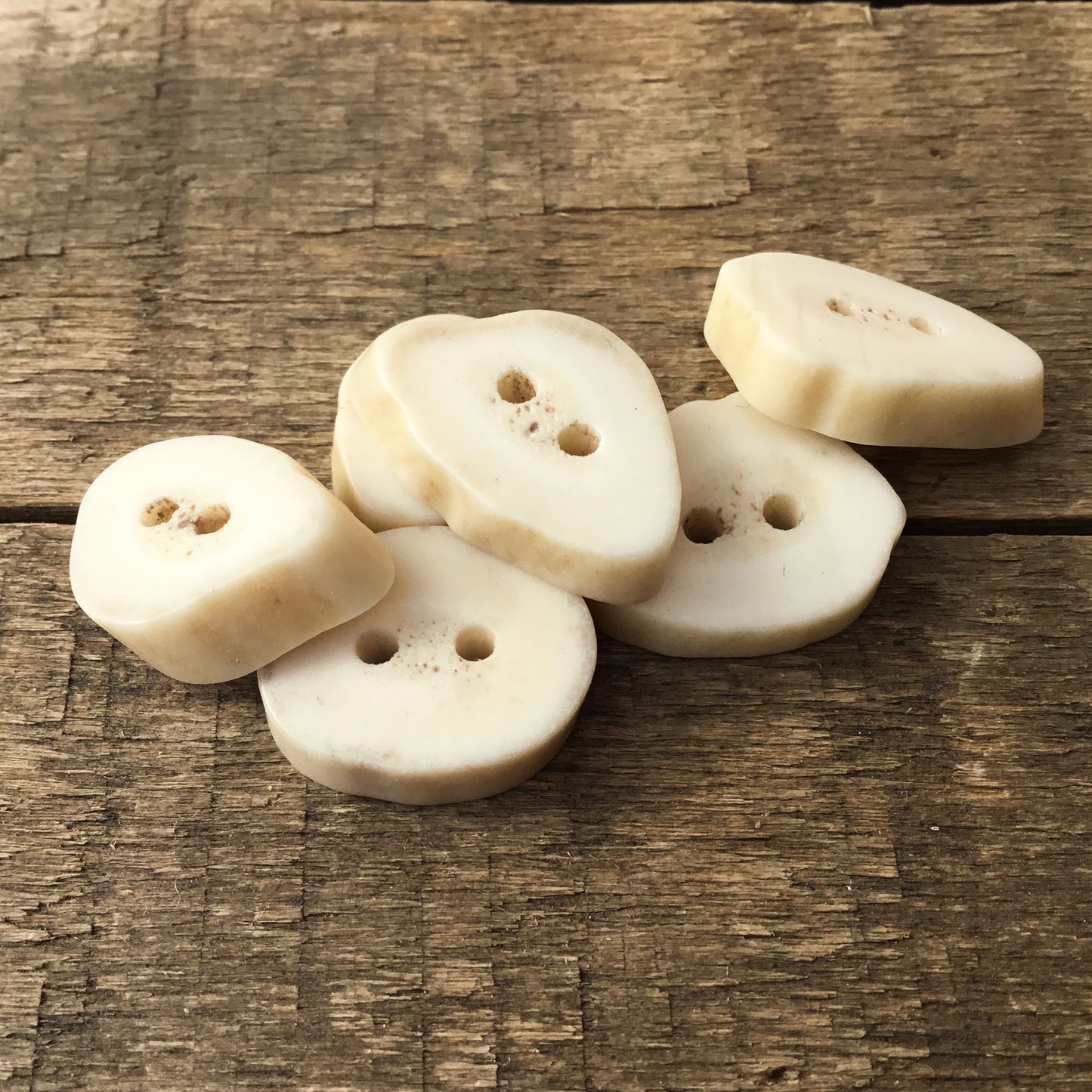 Deer Antler Shed Buttons  9/16" to 7/8" - 6 Pack