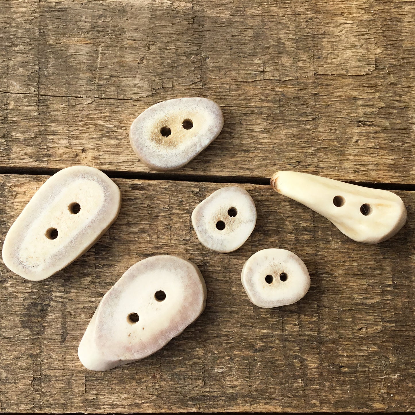 Deer Antler Shed Buttons - Variety 6 Pack